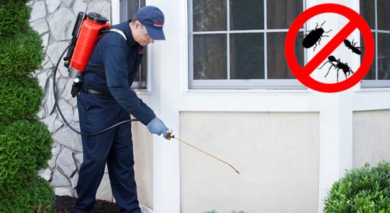 Etimesgut Kene İlaçlama böcek ilaçlama ve haşere kontrolü — ilaclama-tr.com